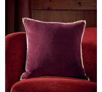 Habitat Cotton Velvet Cushion - Fig - 43x43cm