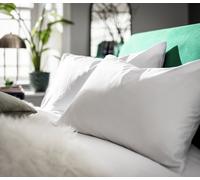 Habitat Egyptian Cotton Standard Pillowcase Pair - White