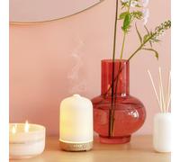 Habitat Electric Diffuser