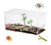 Habitat for Jumping Spiders, Breathable Transparent Acrylic Pool, 40 x 20.5 x 20 cm, Small Reptile Enclosure with Lid, for Turtle, Snake, Turtle, Plant, Gecko