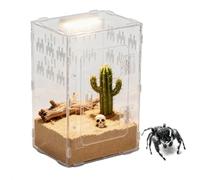 Habitat for jumping spiders, transparent climbing zone, enclosure for spiders - for water turtles, bearded dragons, snakes, land turtles, geckos, hermit crabs, reptiles and fish