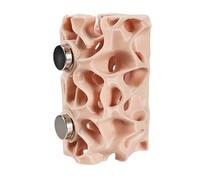 Habitat for Reptiles, Magnetic Shelter for Hiding Pets - Hiding Cave for Climbing, Terrarium for Frogs, Geckos and Amphibians, and Fence Decoration