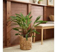 Habitat Large Rattan Handle Planter
