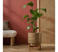Habitat Large Woven Rattan Planter with Stand - Natural