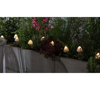 Habitat Mini Mushroom Solar Stake Lights