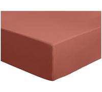 Habitat Plain Rust Fitted Sheet - Single