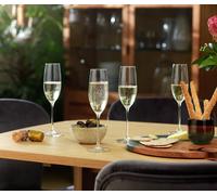 Habitat Portofino Set of 4 Champagne Flutes