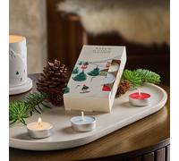 Habitat Scented Tealights - Aspen - Pack of 16