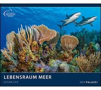 Habitat Sea 2023 - Picture Calendar - Poster Calendar - 60 x 50: Ocean Life