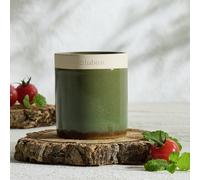 Habitat Singlewick Candle - Tomato Leaf