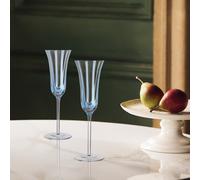 Habitat x Sanderson & National Trust Champagne Flutes 2pk