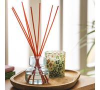 Habitat x Scion 90ml Reed Diffuser - Mandarin & Violet