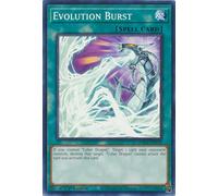 HAC1-EN170 Evolution Burst