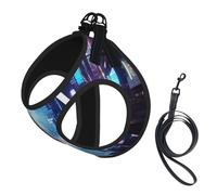 Hacker Era Print Dog Harness,Pet Leash Vest,Adjustable And Reflective Vest,For Small To Medium Dogs