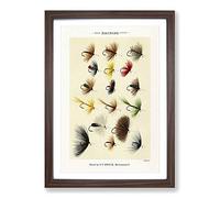 Hackles Fishing by Mary Orvis Marbury Framed Print | A2 Walnut Framed Wall Art | Ready to Hang | Modern Nature Picture | Living Room Bedroom Lounge Office