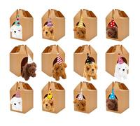 Haconba 12 Set Adopt a Teddy Dog Party Favors Includes 12 Mini Plush Teddy Dog Stuffed Animals 12 Birthday Hats and 12 Kraft Paper Boxes for Birthday Adopt a Pet Party Supplies