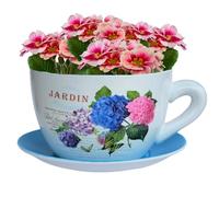 hadaaya 9” Ceramic Teacup Planter Succulent Pot with Drainage Hole & Saucer for Succulent Orchid Herbs Cactus Indoor Plants. Hand Painted Blue-Hydrangea Jardin Decal