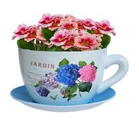 hadaaya 9” Ceramic Teacup Planter Succulent Pot with Drainage Hole & Saucer for Succulent Orchid Herbs Cactus Indoor Plants. Hand Painted Blue-Hydrangea Jardin Decal