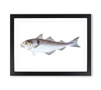 Haddock Fish By Edward Donovan Vintage Framed Print | A2 Black Framed Wall Art | Ready to Hang | Classic Animal Picture | Living Room Bedroom Lounge Office