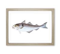 Haddock Fish By Edward Donovan Vintage Framed Print | A2 Oak Framed Wall Art | Ready to Hang | Classic Animal Picture | Living Room Bedroom Lounge Office