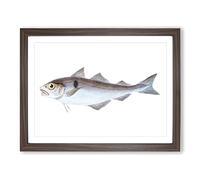 Haddock Fish By Edward Donovan Vintage Framed Print | A4 Walnut Framed Wall Art | Ready to Hang | Classic Animal Picture | Living Room Bedroom Lounge Office