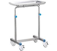 HADECOLL Adjustable Height Stainless Steel Mobile Tray Stand with Removable Tray for Medical Trolley, Spa, Salon, and Personal Care,