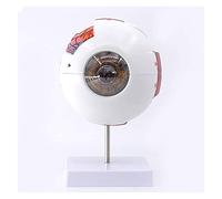 HADECOLL Human Eyeball Model Eye Anatomy Model With 12 Digital Signs 7 Parts Removable For Study Display Medical Teaching