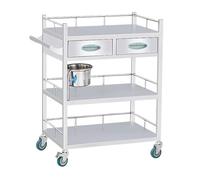HADECOLL Professional 2-Tier Stainless Steel Medical Cart - 150kg Capacity Mobile Utility Trolley for Clinic, Hospital, Aesthetic Salon & Laboratory Use,