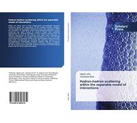 Hadron-hadron scattering within the separable model of interactions