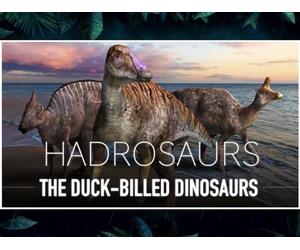 Hadrosaurs: The Duck-Billed Dino's