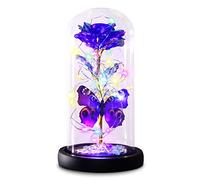 HADSOMUN Valentine's Day Gifts for Her, Galaxy Purple Butterfly Rose in Glass Dome, Luminous Rose, Birthday Gifts for Women, Mother, Grandma, Wife, Eternal Rose, Gift for Mother's Day, Anniversary