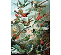 Piatnik 552847-Geese in flight Jigsaw Puzzle 1,000 Pieces