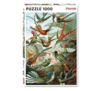 Haeckel - Colibris