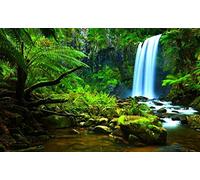 Haeran River Full Drill Amazon Rainforest DIY 5D Diamond Painting by Number Unique Kits Home Wall Decor Crystal Rhinestone Wall Decor