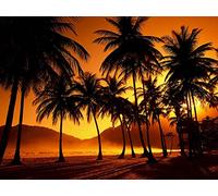 Haeran River Full Drill Trinidad and Tobago DIY 5D Diamond Painting by Number Unique Kits Home Wall Decor Crystal Rhinestone Wall Decor