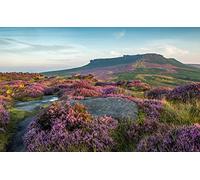 Haeran River Peak District National Park Lavender Flowers UK Painting by Numbers DIY Unique Canvas Oil Painting Kit Digital Painting
