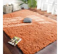 Hafaa Rugs Living Room 2 Pack - Fluffy Shaggy Small Area Rugs for Bedroom Anti-Slip - Modern Super Soft Thick Pile Rust Rug - Plush Carpet Non Shedding Easy To Clean, 50cm x 80cm