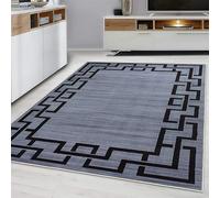 Hafaa Rugs Living Room - Grey Rugs for Bedroom Greek key Style Small Rug for Indoor Soft Touch Printed Area Rugs Easy Care Floor Carpet (60x110cm, Nico)