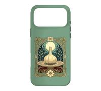 Haft Sin Seer Ancient Symbol of Healing and Protection Case for iPhone 17 Pro Max