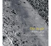 Hagberg/Landgren - Anders Hagberg, Johannes Landgren: Where You Go