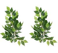 Hagen Exo Terra Silk Ficus Plant, Small (Pack of 2)