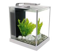 Hagen Fluval Spec White, 10 Litre | Aquarium with LED lighting and 3-stage filtration system, 10517A1