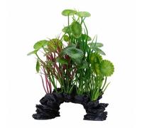Hagen Green Lysimachia Decor - 8"