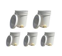 Hagens Beekeeping Cn2105 White 5 X 20L Bucket With Plastic Honey Gate For Honey Extraction & Storage
