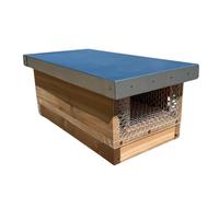 Hagens Beekeeping Uht001 The Ultimate Asian Hornet Trap In Cedar