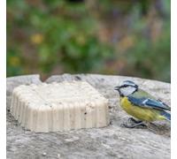 Hagens Original Peanut Cake Square 300G By National Trust