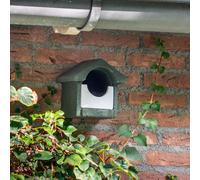 Hagens The Woodstone Open Nest Box By National Trust