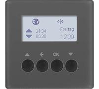 Hager 85745126 - Outlet (Anthracite, IP20, -5 - 45 °C, 0 - 65%, 1 Piece(s))