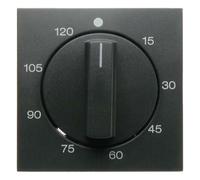 Hager - Central plate timer control 2041b1/b3 metallic/anthracite