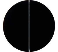 Hager Double Key - AM RF usbquicklink R1 Black